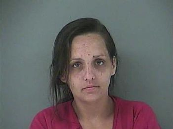 Michelle Lee Thompson Mugshot