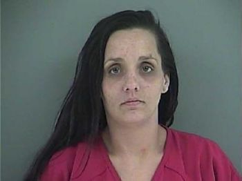 Michelle Lee Thompson Mugshot