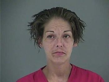 Misty Jo Begley Mugshot