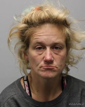 Misty Diane Holmes Mugshot