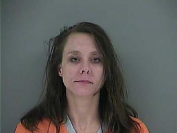 Mitzi Gayla Poteet Mugshot