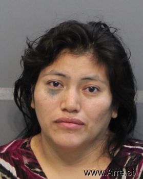 Maria  Reynoso Mugshot