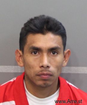 Mario Amilcar Castro-poma Mugshot