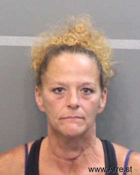 Mary Elizbeth Goodman Mugshot