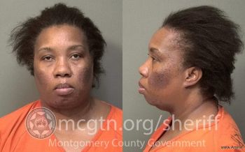 Mary Etta Johnson Mugshot