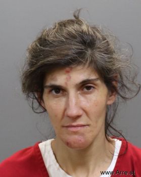 Mary F Hinkle Mugshot