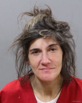 Mary Francis Hinkle Mugshot