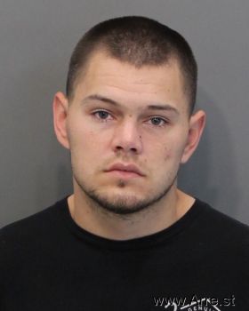 Matthew Tyler Trentham Mugshot