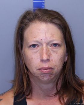 Melissa D Anne Riddle Mugshot