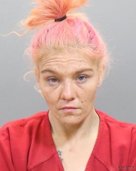 Melissa Sue Davis Mugshot