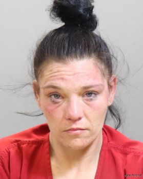 Melissa Sue Davis Mugshot