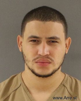 Miguel Yansel Castillo Mugshot