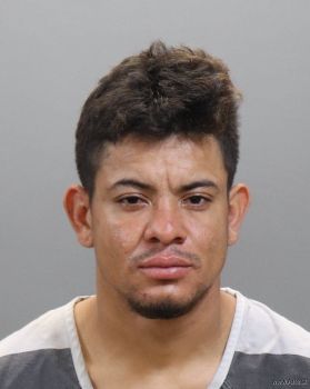 Miguel Jelmejia Castro Mugshot