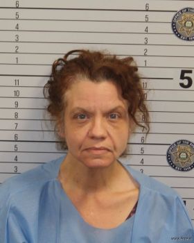 Monica Dawn Phillips Mugshot