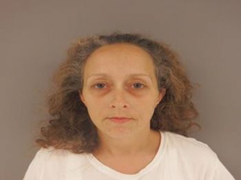 Nannette Michelle Lloyd Mugshot