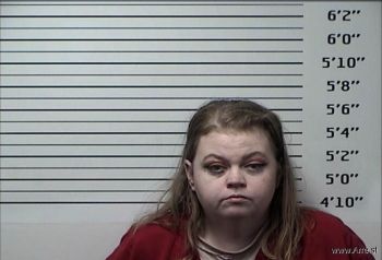 Nicole Lee Alexander Mugshot