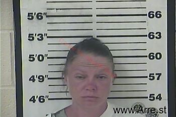 Nicole Renee Edwards Mugshot