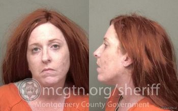 Natasha Lee Altice Mugshot