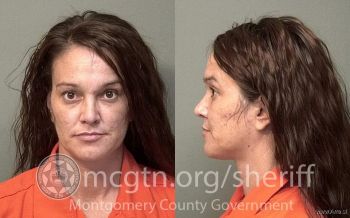 Nicole Ann Vaughn Mugshot