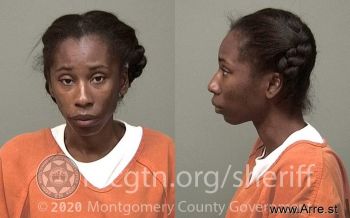 Nicole Marie Wilson Mugshot