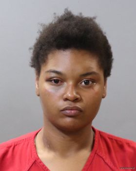 Nicole Elizabeth Mitchell Mugshot