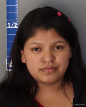 Norma  Ramirez Mugshot