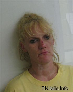 Pamela  Stephens Mugshot