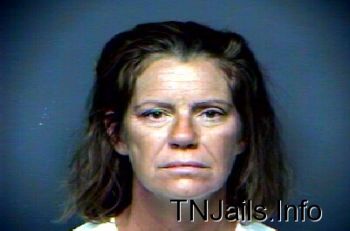 Paula Robin Vansickle Mugshot