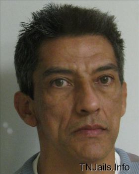 Pedro  Nieves Mugshot