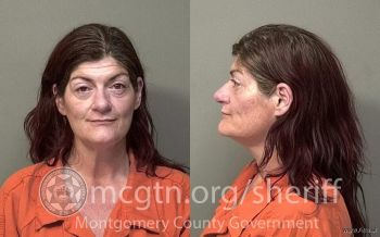 Pamela Jean Hodges Mugshot