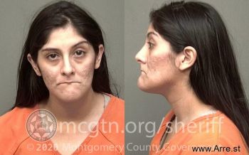 Paulina  Wilson Mugshot