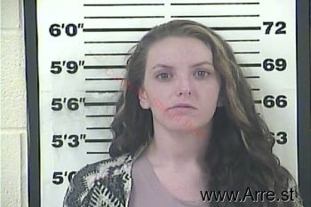 Rachel Elaine Sullivan Mugshot