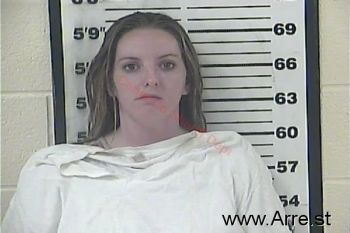 Rachel Elaine Sullivan Mugshot