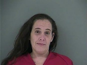 Rebecca Lynn Mcdowell Mugshot