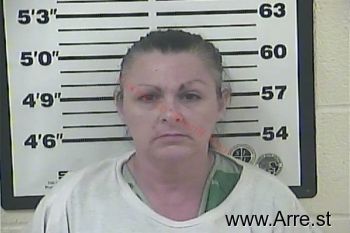 Rhonda Sue Belcher Mugshot