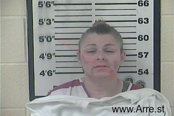 Rhonda Sue Belcher Mugshot