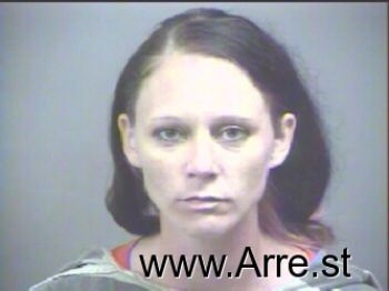 Robin Lynn Phelan Mugshot