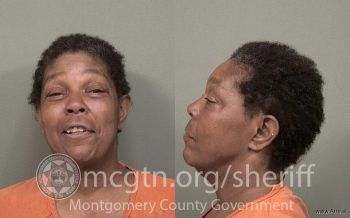 Rena Louise Whitfield Mugshot