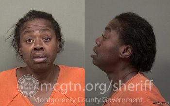 Roberta Lynn Hogan Mugshot