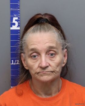 Robin Cheri Barnett Mugshot