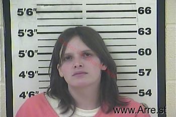 Sarah Jane Gibson Mugshot