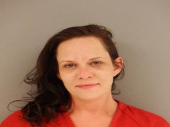 Sarah Shelton Johnson Mugshot