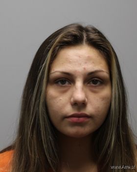 Sarah Michelle Norton Mugshot