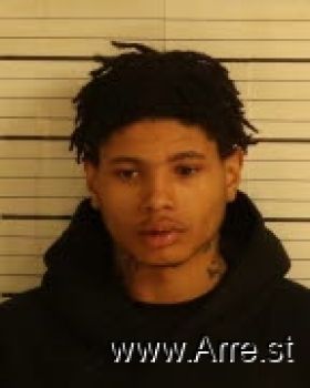 Sean  Wilson Mugshot