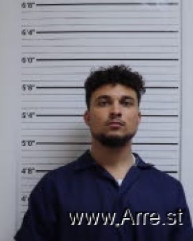 Seth Payne Williams Mugshot