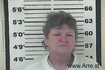 Sheila Dawn Ferguson Mugshot