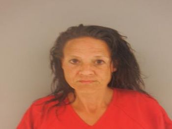 Sheila Kaye Jones Mugshot