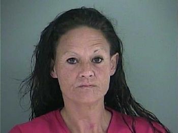 Sheila Kaye Jones Mugshot