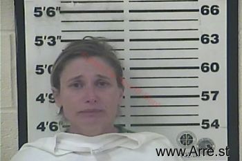 Stacy Michelle Mckinney Mugshot