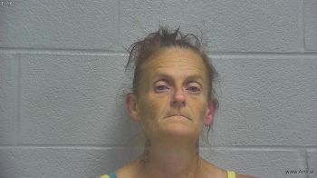 Stephanie Michelle Haley Mugshot